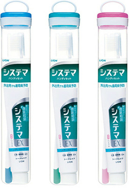 システマハンディセット(1セット)【4903301091233】