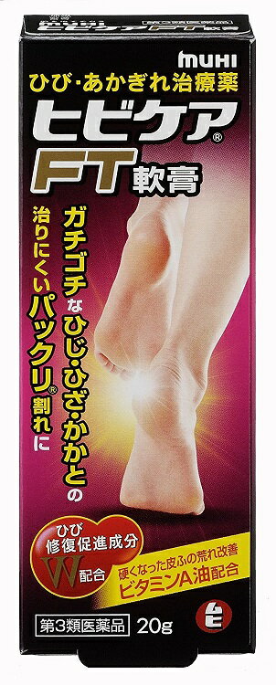 【メール便可】【第3類医薬品】ヒビケアFT軟膏 20g【4987426002244】