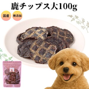 【6/4 20:00~4時間20%OFF】犬 おやつ 鹿チップス 100g 大容量 無添加 国産 送料無料 手作り ギフト 天然 鹿ジャーキー まとめ買い フード 犬おやつ ペットデンタルケア 低カロリー 高齢犬 シニア犬ドクターわんわん 自然派 犬猫 健康 生活