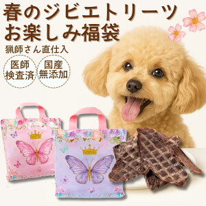 【季節切り替えアウトレット】スプリングバッグ大 犬 おやつ ギフト 福袋 鹿肉 バレンタイン 詰め合わせ プレゼント 大容量 ドッグフード 無添加 国産 ジビエ ジャーキー シニア アレルギー 自然派 犬猫 健康 生活 スーパーセール スーパーSALE