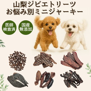 【05のつく日クーポン】犬 おやつ お試し 詰め合わせ 食べ比べ 無添加 国産 鹿肉 ミニジャーキー4種類セット (10g×4) プレゼント 低脂肪 ギフト まとめ買い ペットフード デンタルケア 骨 角 健康 高齢 シニア 自然派 犬猫 健康 生活