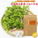 商品説明名称日本山人参茶（水出し） 原材料名日本山人参　葉（宮崎県産）内容量3.5g×10包 賞味期限別途記載保存方法高温多湿・直射日光を避け、常温で保存してください。販売者高鍋元気館TD宮崎県児湯郡高鍋町大字上江6649-15TEL　0983-23-1696商品説明日本山人参を焙煎しテーバッグ分包し、飲みやすいお茶にしました。＜お召し上がり方＞ （水出しの場合）水（2リットル）の中にティーバッグを1包入れる。30分くらい置いたら出来上がり。（煮出しの場合）やかんの水（2リットル）が沸騰してから、ティーバッグを1包入れ、さらに2〜3分沸かしたら出来上がり。 検索ワード）日本山人参 山人参 ヒュウガトウキ ひゅうがとうき やまにんじん 神の草 粉末 焙煎 自家焙煎 ティーパック ティーバッグ 分包 水出し 煮出し 国産 九州 宮崎 宮崎県 木城町 簡単 健康茶 乾燥 粉末 ドライアップジャパン げんき工房 グルメ 直送 産地直送 産直 工場直送 おすすめ 人気 通販 あごふりだしのげんき工房の商品は様々なご用途でご利用いただいております。 ※のし、ギフトには対応しておりませんが、ちょっとしたお礼品 やお土産、贈り物に最適です！ 内祝い・お祝い・お返しに！ 出産内祝い 結婚内祝い 新築内祝い 快気祝い 結納返し 香典返し 引き出物 結婚式 引出物 法事 引出物 お礼 謝礼 御礼 お祝い返し 成人祝い 卒業祝い 結婚祝い 出産祝い 誕生祝い 初節句祝い 入学祝い 就職祝い 新築祝い 開店祝い 移転祝い 退職祝い 還暦祝い 古希祝い 喜寿祝い 米寿祝い 退院祝い 昇進祝い 栄転祝い プレゼントやお土産に！ プレゼント お土産 手土産 プチギフト お見舞 ご挨拶 引越しの挨拶 誕生日 バースデー お取り寄せ 開店祝い 開業祝い 周年記念 記念品 贈答品 挨拶回り 定年退職 転勤 来客 ご来場プレゼント ご成約記念 表彰 お父さん お母さん 兄弟 姉妹 子供 おばあちゃん おじいちゃん 奥さん 彼女 旦那さん 彼氏 友達 職場 取引先 お客様 20代 30代 40代 50代 60代 70代 80代 季節の贈り物に！ 1月 お年賀 正月 成人の日2月 節分 旧正月 バレンタインデー3月 ひな祭り ホワイトデー 春分の日 卒業 卒園4月 イースター 入学 就職 入社 新生活 春の行楽5月 ゴールデンウィーク こどもの日 母の日6月 父の日7月 七夕 お中元 御中元 暑中見舞8月 夏休み 残暑見舞い お盆 帰省9月 敬老の日 シルバーウィーク10月 孫の日 運動会 学園祭 ブライダル ハロウィン11月 七五三 勤労感謝の日12月 お歳暮 クリスマス 大晦日 冬休み 寒中見舞い