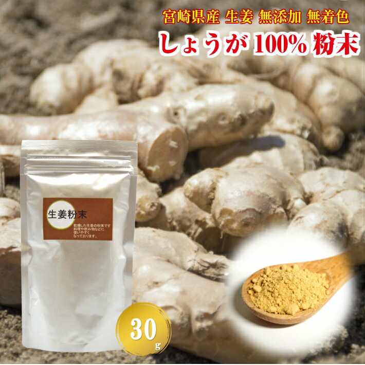 生姜パウダー 【国産】 生姜粉末 100% 30g 【送料別】 無添加 無着色 純粋 宮崎県産 しょ ...