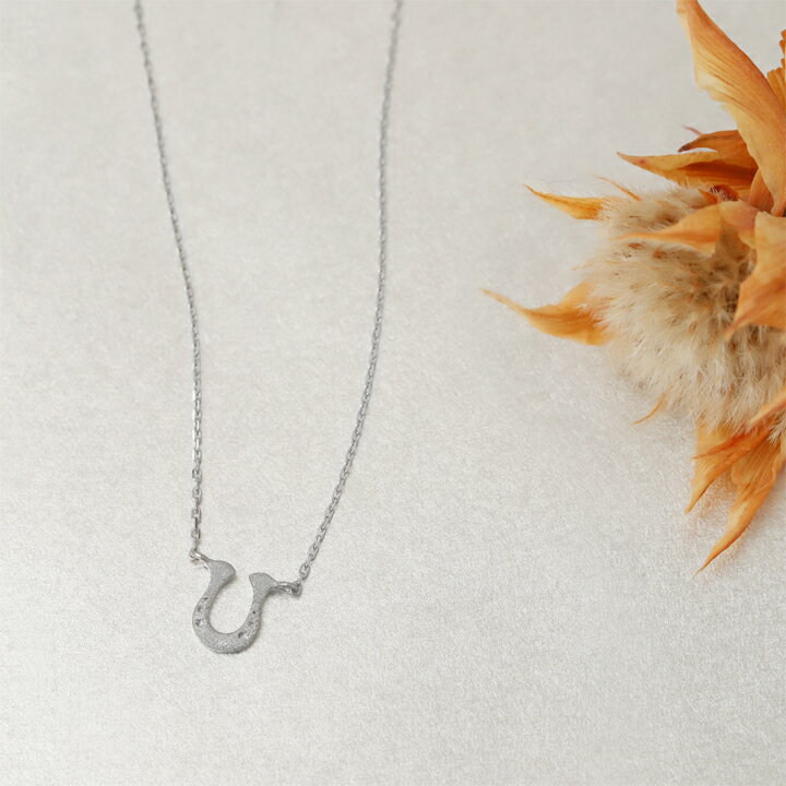 Pt950 プラチナ ネックレス馬蹄 ホースシュー platinum necklace送料無料 DEVAS ディーヴァス プラチナ シンプル 華奢 プチネックレス お守り プラチナネックレス レディース 誕生日 プレゼント ペンダント プラチナチェーン