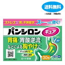 【第2類医薬品】【あす楽】パンシロンキュアSP 30包【ロート製薬】【送料無料】【北海道・離島・沖縄は送料無料が非適用です】