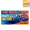 【第2類医薬品】【定形外郵便で送料無料】プリザ Gカプセル 24カプセル【大正製薬】【同梱不可】