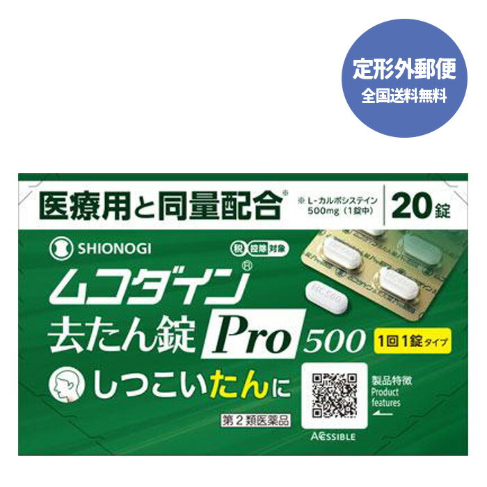 2ʡۡ͹ؤ̵ۥॳPro500 20ڥΥإ륹ۡƱԲġ