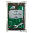 【第3類医薬品】【小島漢方】日局 ケツメイシ 決明子 けつめいし 生 500g【ゆうパケット対応】