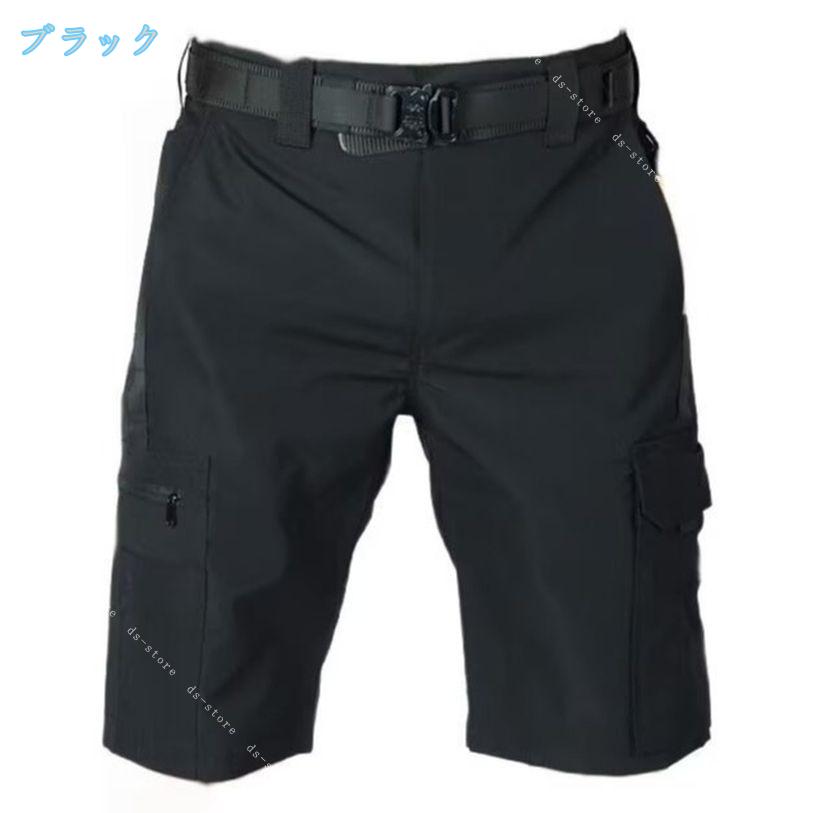 サンプル画像2