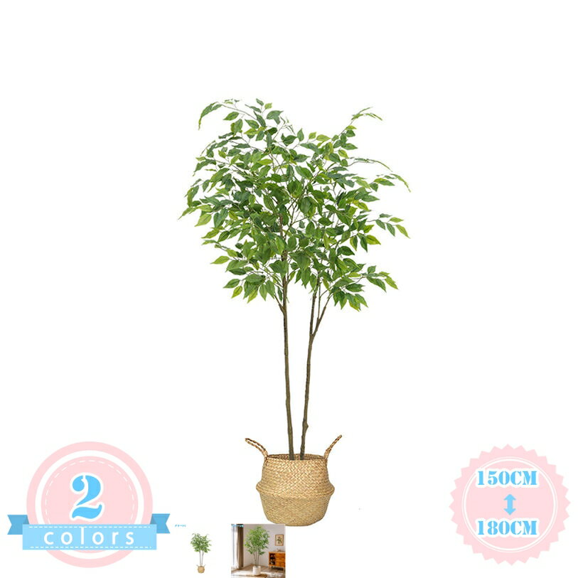 メイン素材：PE【仕様】人工観葉植物はPE材質を採用して、光沢感を持ち、柔らかい手触りで、本物の生き生きする姿を再現します。パステルカラーをベースに、自然にフレッシュで本物の葉にとても近い色に見えます。光沢感を持ち、柔らかい手触りで、本物観葉植物の生き生きする姿を再現します。【高度なシミュレーション】人工観葉植物は植物の実際の成長特性を模倣して、葉の形は植物の特性に沿って、古い葉から新しい葉への変化があり、葉の表面に光沢があり、しかも表と裏を処理して、色が重ね合わせる感じあり、形が大きさの違いあり、及び葉の密度の把握など、自然の元の様子を復元します。その同時に、フェイクグリーンの質感が強化して、枝の硬さがもっと活力を演出します。【幅広い使用用途】人工観葉植物は、おしゃれなインテリアとしてもオフィス、自宅、寝室、リビングルーム、バスルーム、キッチン、バルコニー、または配置したい場所に最適です。パーティー、結婚式、お祭りなどのインテリアグリーンとし ても大活躍します。また、人工観葉植物は友人さんへの贈り物としてベストチョイスです。【リアル・調整可能】人工観葉植物には金属製のインナーワイヤーが付いており。心地よい生活空間をお好みに合わせて調整できます。フェイクグリーンをより完璧にするために、より大きな装飾植木鉢に置くことをお勧めします。【お手入れやすい】フェイクグリーンは室内に適用し、お周りをフレッシュと自然な感じを溢れて、間接的にリラックスして、疲労を和らげます。これらの人工観葉植物は毎日水やりや施肥する必要がなく、或いは土壌植物が引き起こす蚊の悩みがなく、手間がかからなく、便利です。ほこりが付いたら、湿った布で拭き取るだけです 。【人工観葉植物】 お部屋の雰囲気をガラリと変えるお洒落な観葉植物。 大型でリアルな造花なため、インテリアとして好まれるの商品です。 【枯れない】 枯れない・水やり不要・お手入れも簡単・虫が付かないということもあり、面倒くさがりな方でもお勧めです。 【様々な場所に適用】 引っ越し祝いや新店祝いなどのプレゼントやギフトとして、贈答としても利用できます。 リビングやオフィス、お店のディスブレイにも、インテリアグリーンとして馴染みやすいサイズ。 新築、開店祝いにもよく贈られる植物です。人間関係を円滑にするような縁起物として親しまれています。 【デコレーションに最適】 花言葉は「家族の絆」 「信頼」風水では「調和」。 フェイクグリーンで室内を明るく、お部屋はもちろん、オフィスにも。植物の緑が癒しの空間を演出します。 本物の植物だと水や気温、日光はもちるん成長合わせた剪定…気にかけないといけないことが多すぎて手間に。 人工観葉植物はそんな手間がいっさいかからす癒しをくれる存在だから日常に寄り添ってくれます。お手入れいらず、だから愛しい、本物のような表情が見える品質、細部にこだわった作りで、本物のような雰囲気に。 リアルな葉、遠目にはすぐにはわからないようなリアルさ、天然木を使った幹より本物に近い雰囲気に。 枝葉の角度調節、置き所や気分転に枝葉の広がりを化させられます。 見栄えよく、贈った相手に育てる手間をかけさせないから贈り物としても最適です。 【関連ワード】 お祝い 開店祝い 移転祝い 敬老の日 父の日 母の日 設立記念 創立記念 フェイクグリーン リアル 倒れにくい 水やり不要 ナチュラル 鉢付き 緑視率 人工観葉植物 造花 インテリア 玄関 開業祝 オフィス 新築祝い パーテー 贈り物 誕生日 ギフト 花言葉 リアル フェイクグリーン 【製造由来のひび割れあり】 幹の一部（特に枝分かれ部分）に製造由来のひび割れがある場合があります。 葉脈が葉の中心とずれている個体や、枝分かれ部分の表皮剥がれが見られる場合があります。 ご使用には問題ありません。離れて設置したり、裏側に配置することで気にならずご使用いただけます。商品ページの情報は、あくまで閲覧・比較用です。最終的な製品の説明フェイクグリーン 観葉植物 フェイク グリーン 人工観葉植物 プレゼント 光触媒 大型 リアル 造花 インテリア おしゃれ 小さい 消臭 抗菌 オシャレ 玄関 内祝い リビング お祝い 開店祝いフェイクグリーン 観葉植物 フェイク グリーン 人工観葉植物 小さい おしゃれ 光触媒 陶器 鉢 かわいい 造花 インテリア テーブル 消臭 抗菌 デスク オシャレ プレゼント ギフト リビング 鉢植えフェイクグリーン 大型 高さ160cm 鉢付き 観葉植物 フェイク 人工観覧植物 人工観葉樹 シンプル リアル 南国 室内 水やり不要 インテリア 玄関 リビング オフィス 開店祝い 新築祝い 引越し祝いベンジャミン 人工観葉植物 幅70×高さ160cm フェイクグリーン 大型 鉢付き 人工観葉植物 フェイクグリーン インテリア 飾り 世話いらず おしゃれ 水やり不要 枯れない 人工樹木 フェイク植物