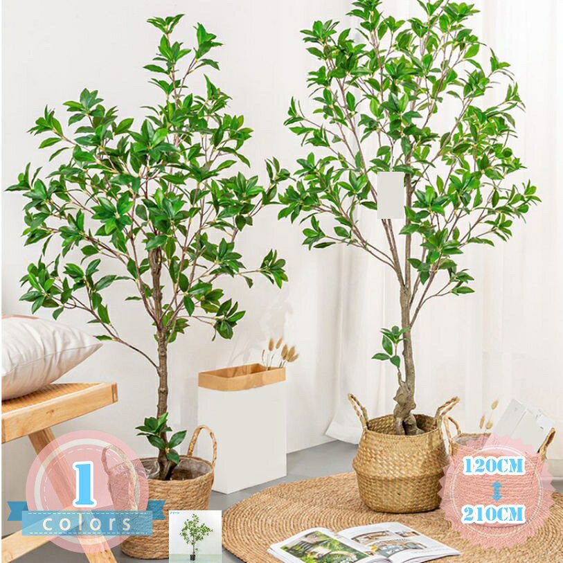ナチュラル 馬酔木 アセビ 観葉植物 人工 フェイクグリーン 室内 リビング オフィス 一人暮らし 緑 インテリア インテリアグリーン 大型 人工 造花 観葉 植物 植木 人工観葉植物 人工観葉樹 おしゃれ 水やり不要 人工観覧植物 引越し祝い プレゼント ds-store