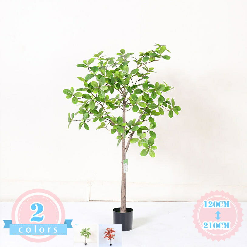 人工観葉植物 世話いらず 水やり不要 フェイクグリーン 金のなる木 幸運の木 風水 開運 造花 観覧植物 室内用 インテリア リアル おしゃれ お祝い 樹 木 フェイク観葉植物 大型 玄関 リビング オフィス ホテル シンプル 抗菌 開店祝い 引越し祝い ds-store