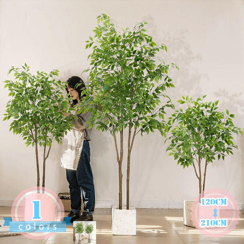 楽天市場】ガジュマル 観葉植物（造花・人工観葉植物｜花・観葉植物