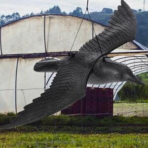 鳥よけ カラス型 吊り下げタイプ 害鳥対策 リアルなカラス模型 ベランダ 玄関 畑 果樹園 田んぼ 園芸 屋外用 ハト避け ムクドリ対策 飛来防止 鳥おどし 吊るすタイプ インテリアにも 雀対策 害獣対策 カラスデコイ 視覚的威嚇効果 防鳥 鳥害防止グッズ