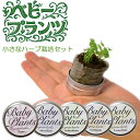 栽培キット バジル ベビープランツ ハーブ栽培キット ミニ 缶入り 室内栽培 初心者向け 観葉植物 タイム カモミール イタリアンパセリ レモンバーム インテリ...