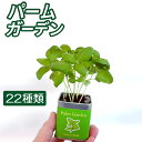 栽培キット ハーブ 野菜 花 Palm Garden パームガーデン 22種類選べる 育てる缶 栽培セット インテリア 室内栽培 初心者向け ミニトマト バジル...