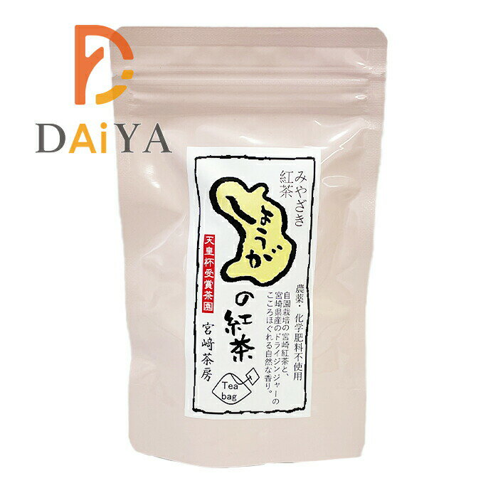 宮崎茶房 生姜紅茶（ティーバッグ3g×12）×1個