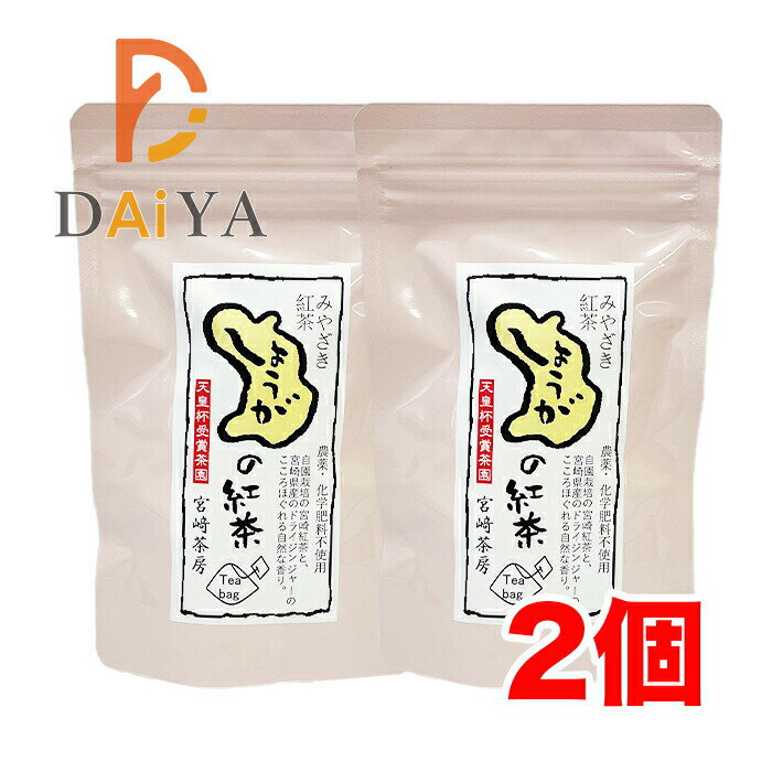 宮崎茶房 生姜紅茶（ティーバッグ3g×12）×2個