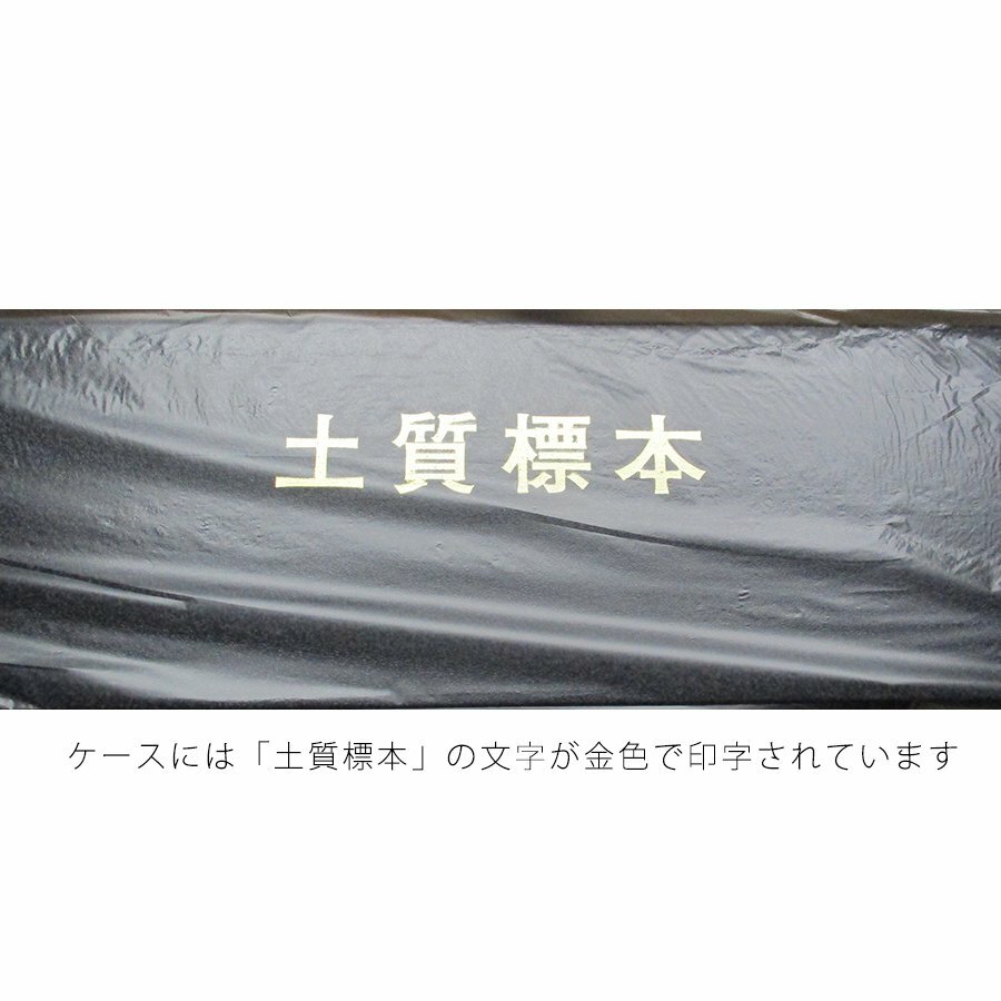 ��¨Ǽ��ɸ��Ȣ(20����) �ڼ������ӥ��ա�TSS-277-F