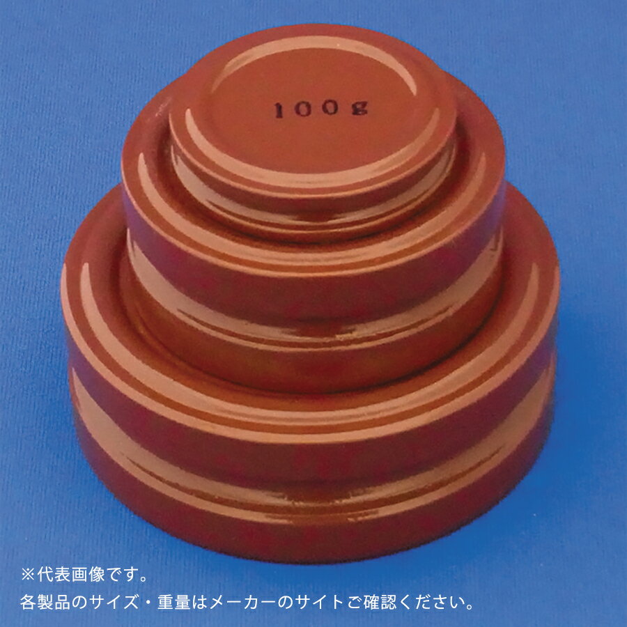 新光電子（大正天びん製作所） 円盤分銅 M2級 鉄塗装