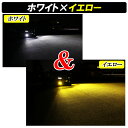 dsic:10004673のサンプル画像2
