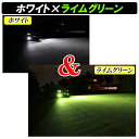 dsic:10004673のサンプル画像3