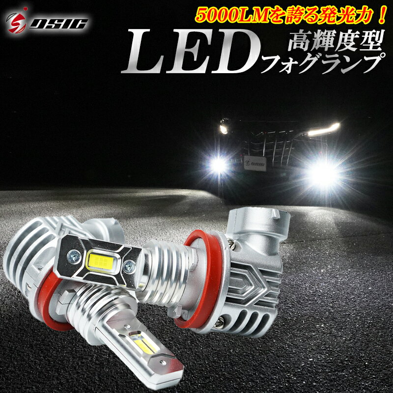 【20日は最大1500円OFF】LED フォグランプ H8 H11 H16 HB4 車検対応 ファンレスモデル ホワイト 6500K 明るいLEDフォグランプ 5000LM 左右セット