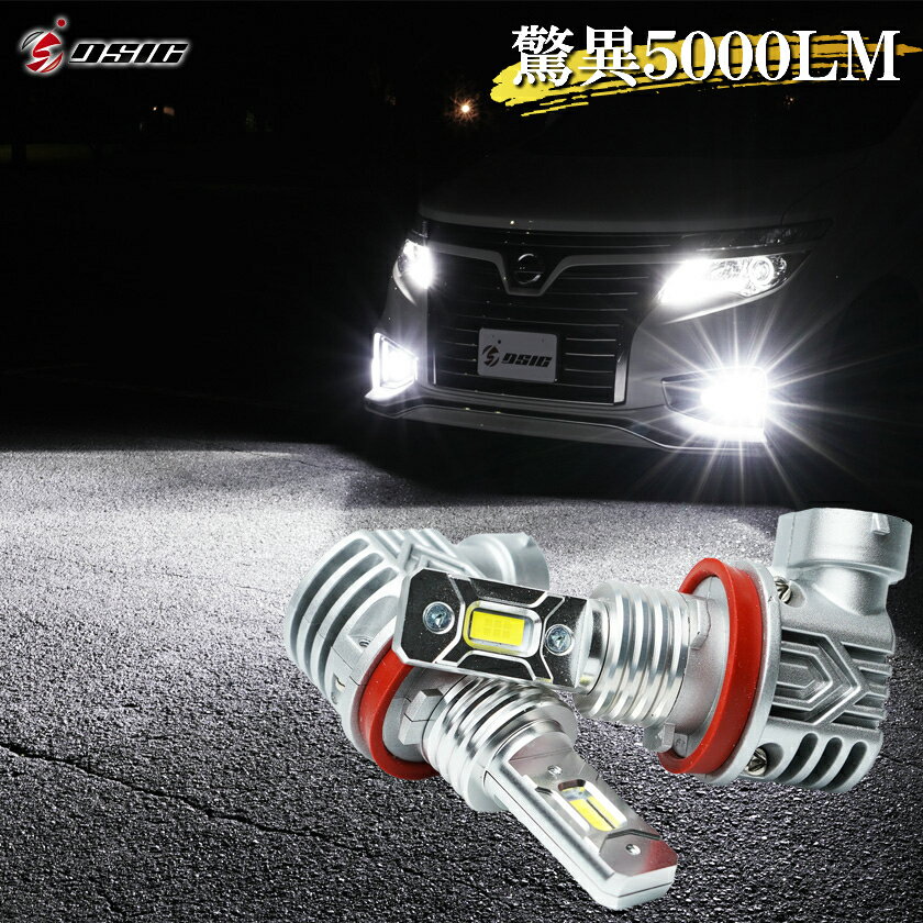 【限定クーポン配布中】ヴェルファイア 20系 前期 LED フォグランプ フォグ 車検対応 ホワイト 新型LED搭載 6500K 5000LM 左右セット