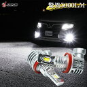 【本日最大1500円OFF】ヴェルファイア 20系 前期 LED フォグランプ フォグ 車検対応 ホワイト 新型LED搭載 6500K 5000LM 左右セット