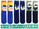 NARUTO -ナルト- レディース ハイソックス 3柄セット(横顔 オレンジ・サスケ ブルー・カカシ グリーン) スモール・プラネット