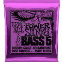 5弦用 ERNIE BALL #2821 Power Sli