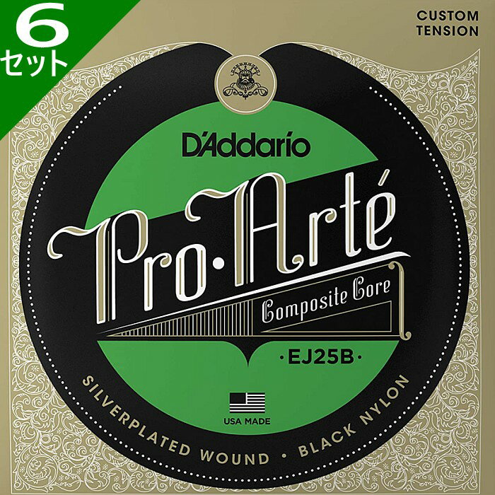 6å D'Addario EJ25B Pro Arte Black Nylon Composite Flamenco ꥪ 饷å