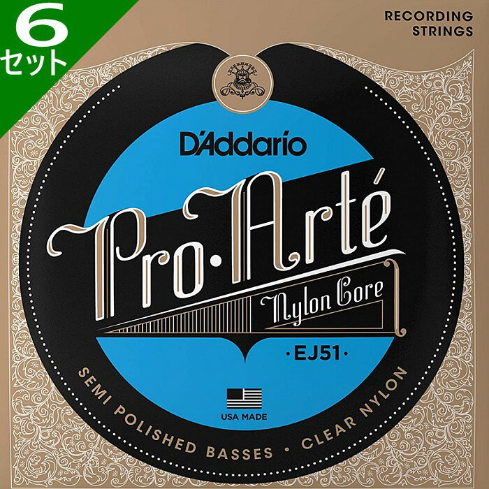 6å D'Addario EJ51 Pro Arte Nylon Polished Silver/Clear Hard ꥪ 饷å