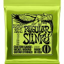 ERNIE BALL #2221 Regular Slinky 010-046 A[j[{[ GLM^[