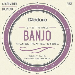 D'Addario EJ57 5-string Banjo Custom Medium 011-022 ダダリオ バンジョー弦