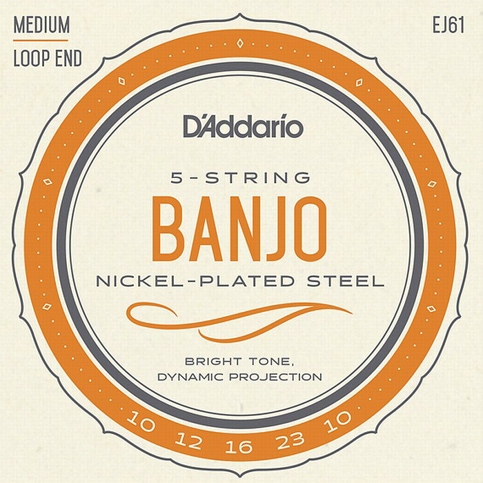D Addario EJ61 5-string Banjo Medium 010-023 ダダリオ バンジョー弦
