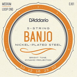 D'Addario EJ61 5-string Banjo Medium 010-023 ダダリオ バンジョー弦