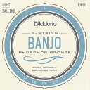 D Addario EJ69B 5-string Ball End Banjo Light 009-020 Phosphor Bronze ダダリオ バンジョー弦