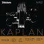 D'Addario Kaplan amo Violin String KA310 1/4M ꥪ Х ץ 1/4 ߥǥƥ󥷥 å