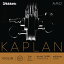 D'Addario Kaplan amo Violin String KA310 3/4M ꥪ Х ץ 3/4 ߥǥƥ󥷥 å