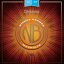 D'Addario NBM1038 Light 010-038 Nickel Bronze ꥪ ޥɥ