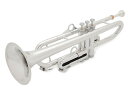 pInstruments pTrumpet hyTech Silver プラスチック製トランペット