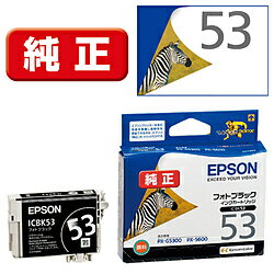 EPSON(エプソン)  ICBK53 純正プリンターインク Proselection（プロセレクション） フォトブラック ICBK53