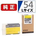 EPSON(Gv\) yz ICY54L v^[CN rWlXCNWFbg CG[ ICY54L