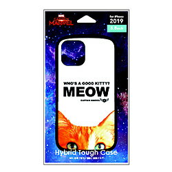 PG-DPT19A13CTM [�L���v�e���E�}�[�x��]