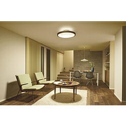 大光電機 LED間接光シーリングライト DXL-81381 ウォールナット色 DXL81381 [振込不可]