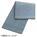 トラスコ中山 TRUSCO スパッタシートDX ハトメなし 2号 920X1920 SPS-2HN SPS2HN