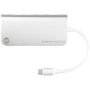 TUNEWEAR 0.12m[USB-C オス→メス SDカードスロッ...(2)