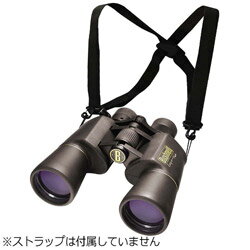 ���K�V�[�Y�[��