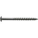 日本パワーファスニング JPF ステンレスアリンコ トラス M6×35 (75本入)パワーパック SUS ALINC TRUSS 6X35P-75 SG SUS...